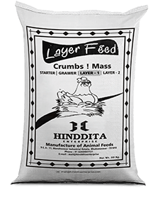 layer feed layer-1
