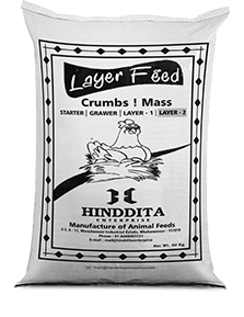 layer feed layer-2