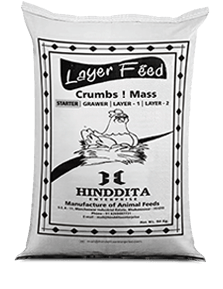 layer feed crumb mass starter