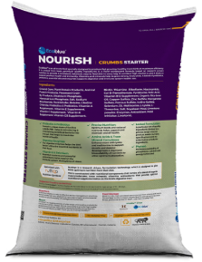 echo $image['alt']; ?>