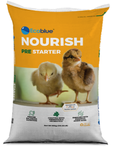 ecoblue prestarter feed