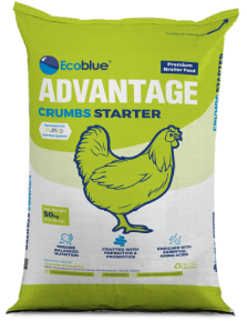 ecoblue advantage crumb starter
