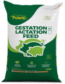 polaris gestation feed