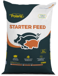 polaris starter feed